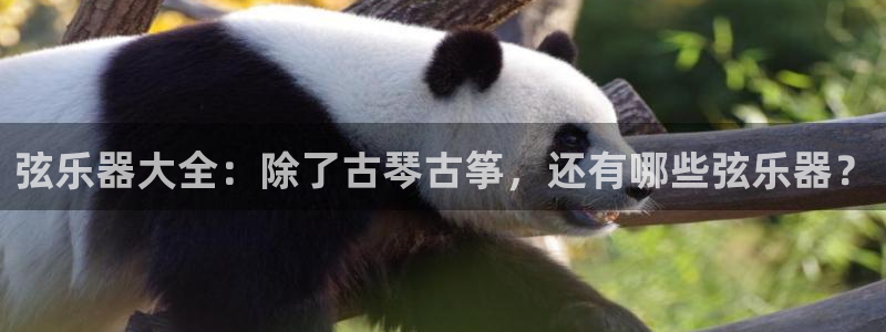 凯发国际是什么投资平台