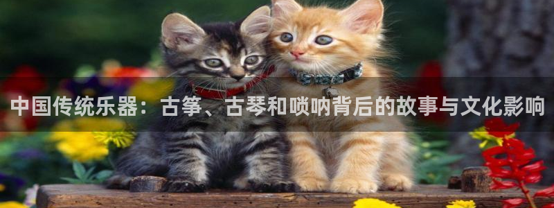 凯发k8手机是正品吗知乎