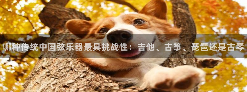 k8凯发官方找就送38