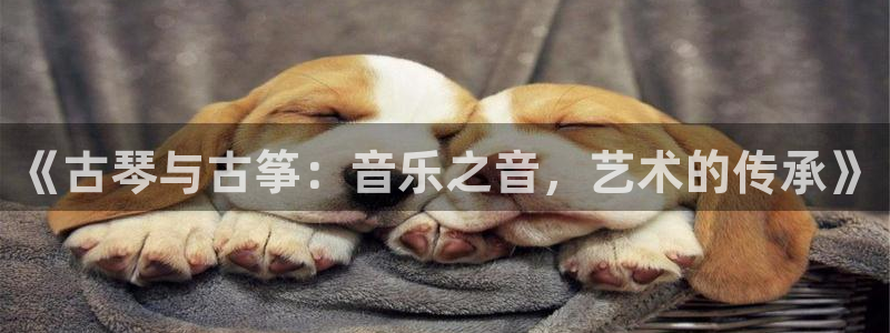 凯发k8国际真人版可靠送38元