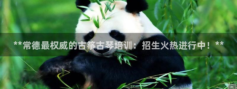 凯发k8国际app