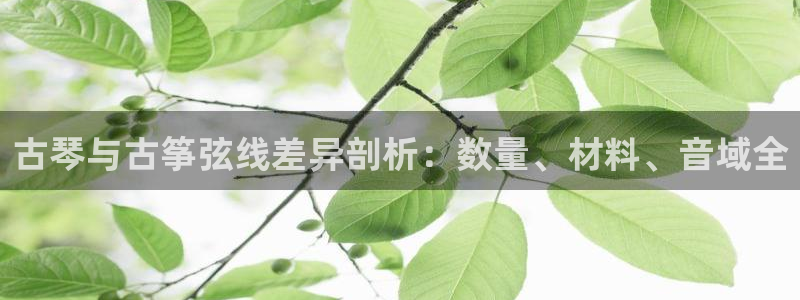 凯发官方在线