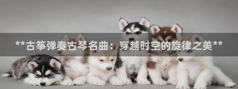 凯发app平台