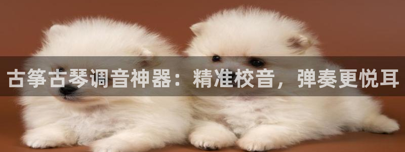 凯发娱网址是什么