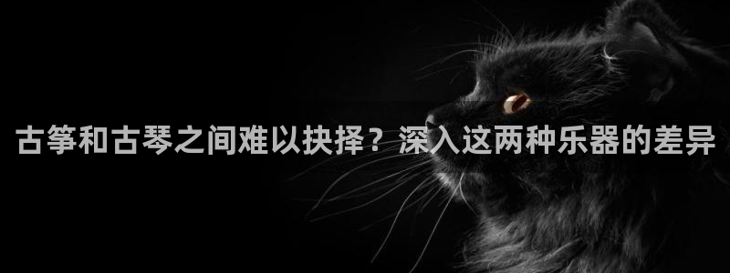 k8凯发是做什么的