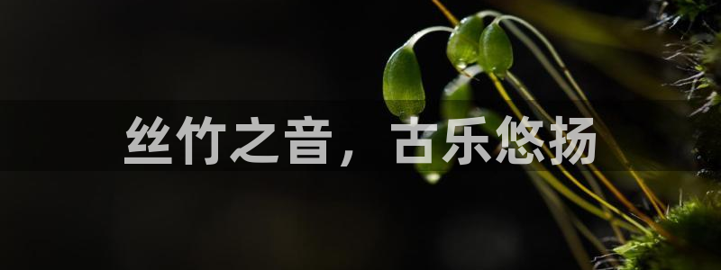 凯发官方手机app