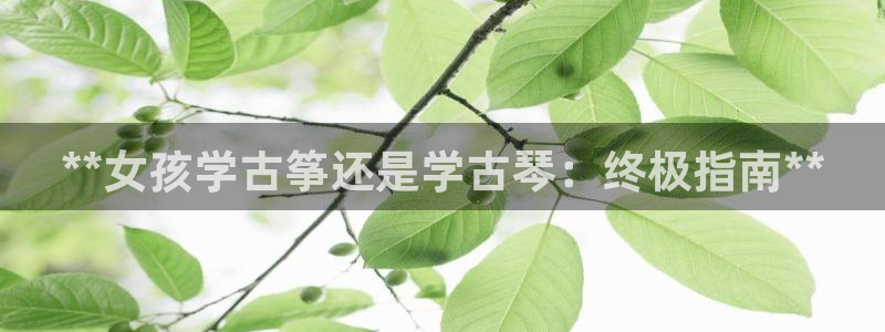 凯发娱网址是什么