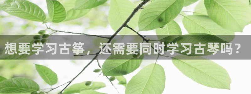 凯发k8是不是真的可靠