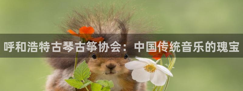 凯发国际平台登录入口官网