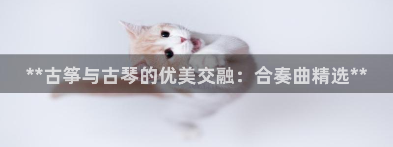凯发官网|认准kpm