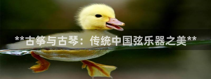 凯发官方在线