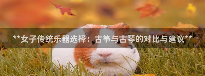凯发网址多少