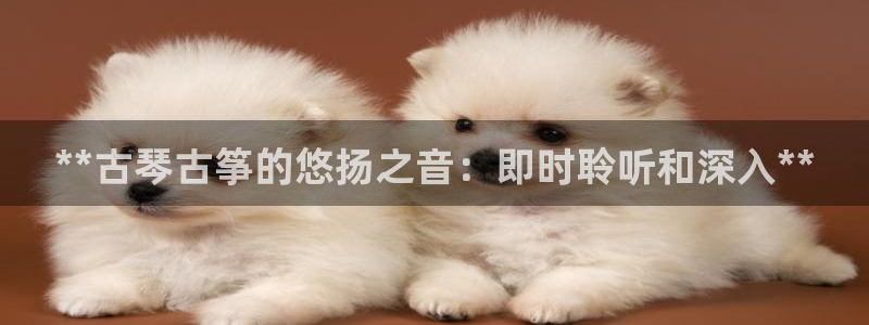 凯发k8555|手机版