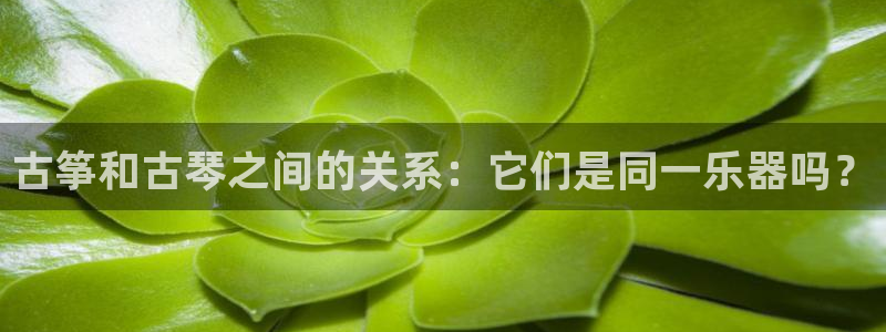 凯发国际怎么赚钱