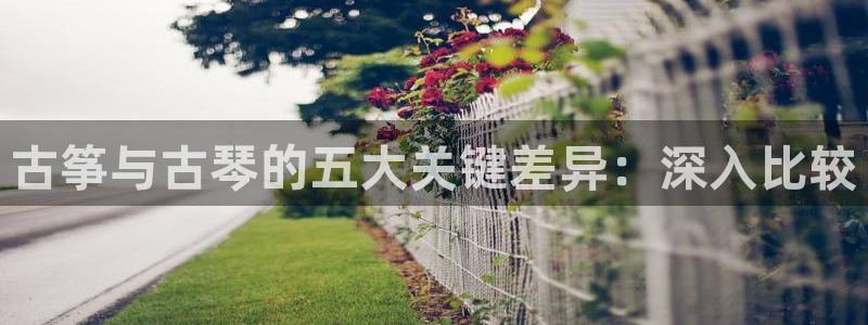 凯发网站是多少