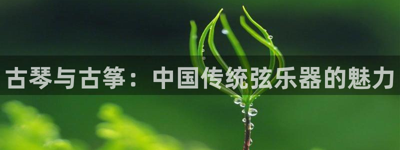 凯发国际平台app