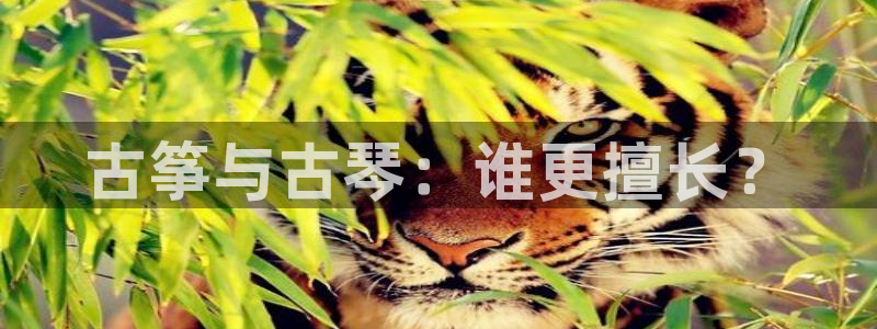 凯发k8娱乐平台网址