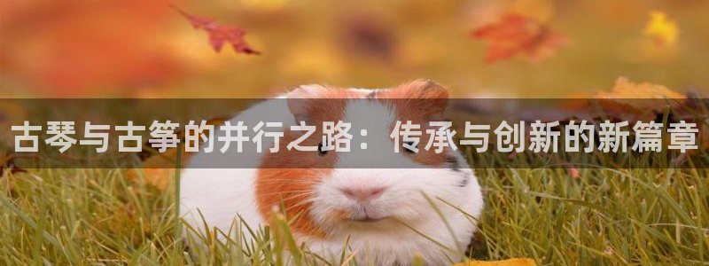 ks8凯发官方网站