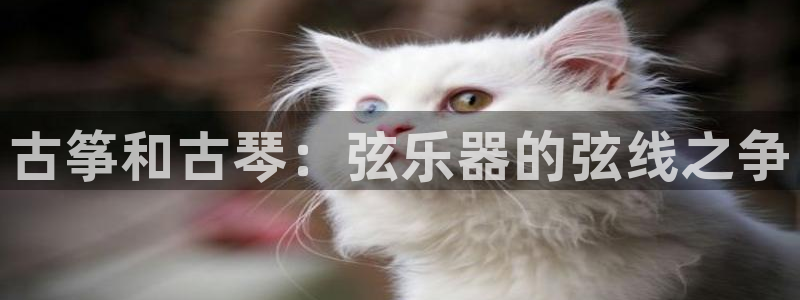 凯发平台开户
