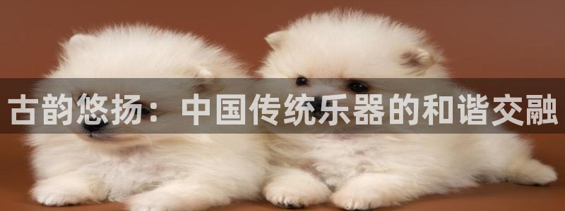 凯发k8娱乐官网手机端中心