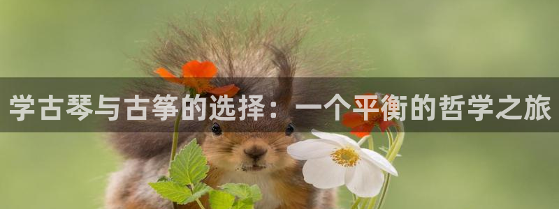 凯发网娱乐官网国际
