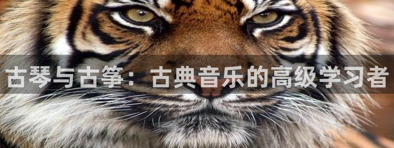 凯发手机app官网