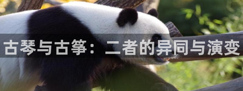 凯发K8天生赢家一触即发