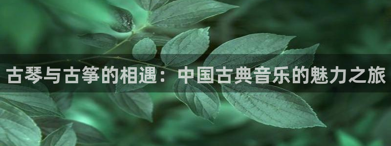 ks8凯发官方网站
