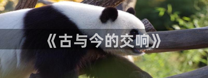 凯发官方网站下载