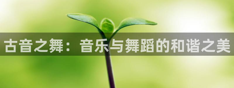 凯发k8ag旗舰厅网址