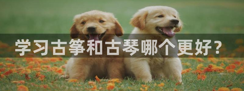 凯发k8娱乐旗舰