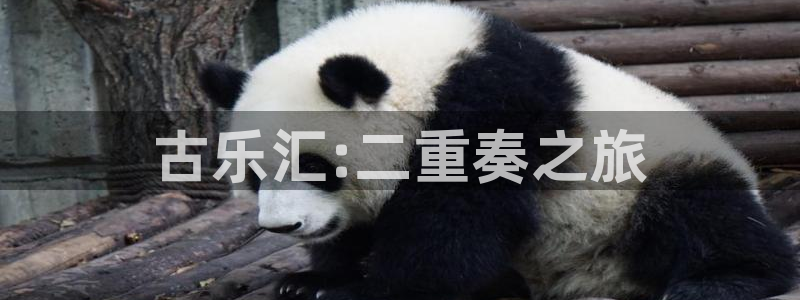 凯发k8555|手机版