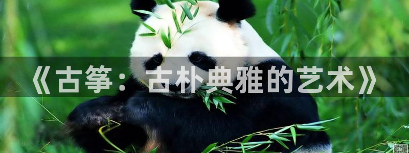 凯发K8天生赢家一触即发：《古筝：古朴典雅的艺术》