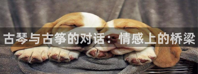 凯发k8娱乐是国内平台?
