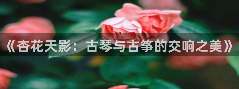 凯发k8娱乐真人旗舰厅客服