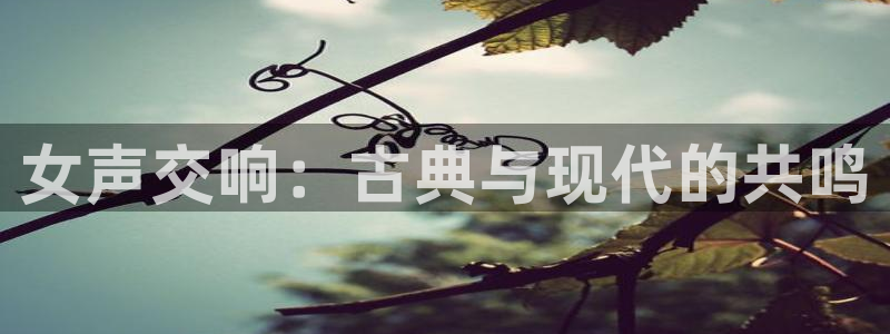 凯发k8娱乐平台