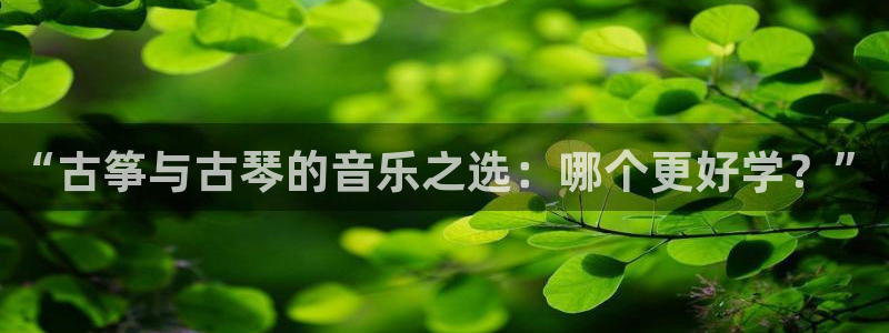 凯发k8手机是正品吗知乎：“古筝与古琴的音乐之选：哪个更好学