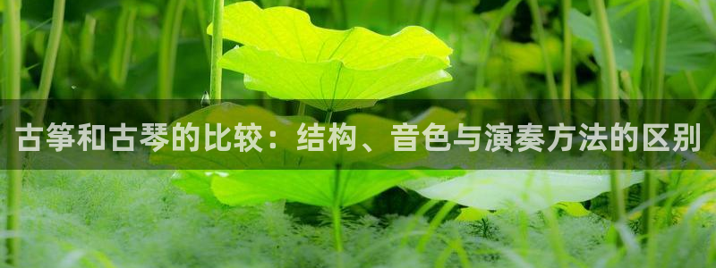 凯发k8登录首页：古筝和古琴的比较：结构、音色与演奏方法的区