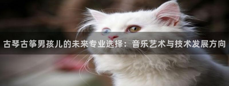 凯发k8娱乐平台
