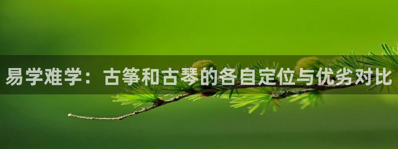 凯发k8官方旗舰店app：易学难学：古筝和古琴的各自定位与优