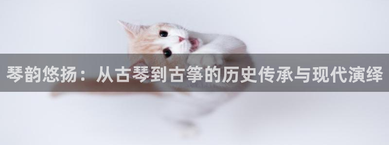 凯发k8国际真人娱乐旗舰厅：琴韵悠扬：从古琴到古筝的历史传承