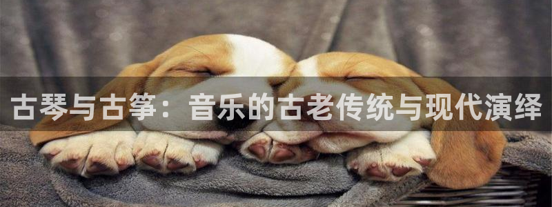 凯发平台k8