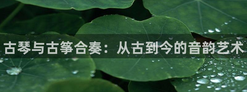凯发k8娱乐官网入：古琴与古筝合奏：从古到今的音韵艺术