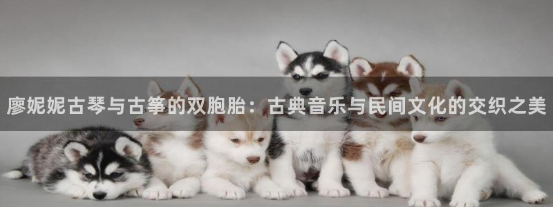 凯发官方网站是多少：廖妮妮古琴与古筝的双胞胎：古典音乐与民间