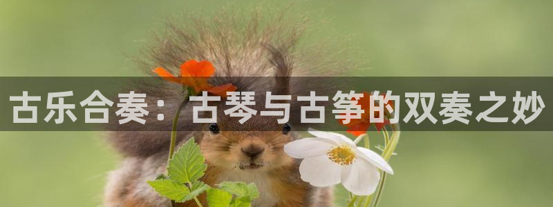 凯发唯一官方网站