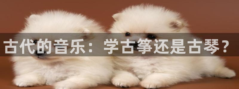 凯发平台风采：古代的音乐：学古筝还是古琴？