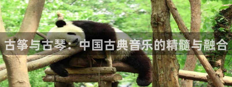 凯发国际网站首页