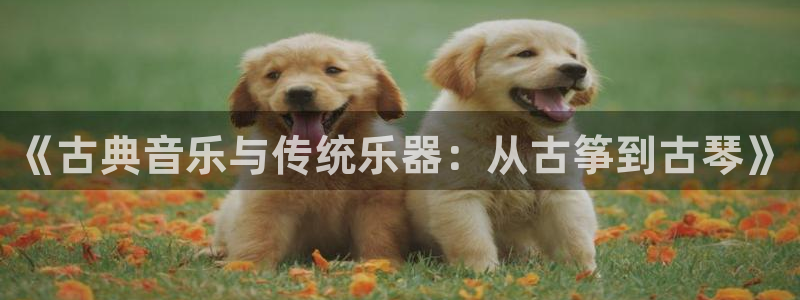 凯发官方:访问凯发.网站