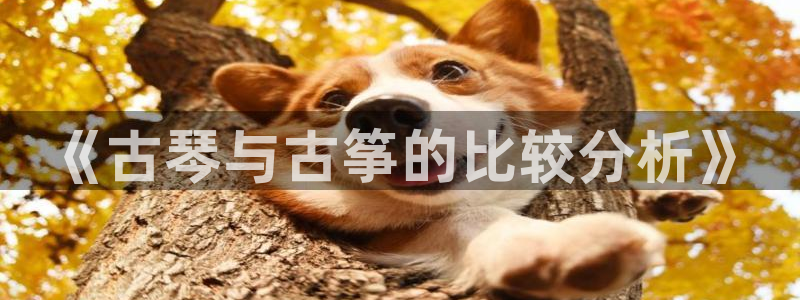 凯发k8国际真人娱乐旗舰厅