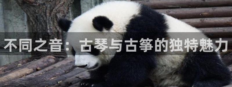 凯发国际网络平台网址